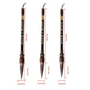 3Pcs Chinese Calligraphy Brush Big/Medium/Small Chinese Calligraphy Traditional Painting Brush
