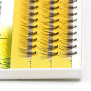 Grafting World 0.07 Individual Eyelashes 10D Lash Fan Cluster length 8mm to 14mm for Personal Make Up