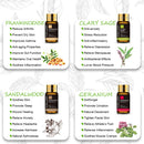 The Botanical Vault | 20pc Pure Natural Essential Oils Gift Box
