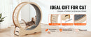 The Meridian Wheel | Solid Wood Cat Exercise Wheel for Indoor Cats