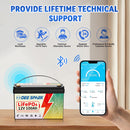 12V 100Ah Lifepo4 磷酸铁锂电池 100A BMS 适用于房车 太阳能 船用 拖钓马达 备用电源 31组 深循环锂电池