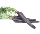 Purple Carrot Extract