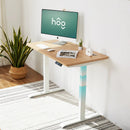 RAY CLASSIC LIGHT OAK STANDING DESK
