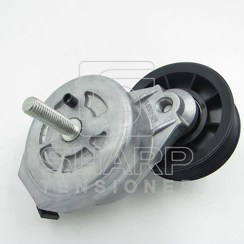 Cummins 3914086  3912287  Belt tensioner