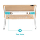 RAY CLASSIC LIGHT OAK STANDING DESK