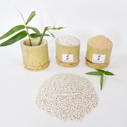 竹粉生物降解材料牙刷BBM-M014