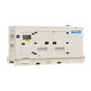 250KVA Diesel Generator 400V, 3 Phase: Powered by Perkins: WPS250S Side
