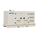 250KVA Diesel Generator 400V, 3 Phase: Powered by Perkins: WPS250S Side