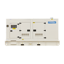 250KVA Diesel Generator 400V, 3 Phase: Powered by Perkins: WPS250S Front