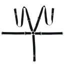FER010 Hot Selling 2 Inch 5 Point Fia Racing Seat Belt