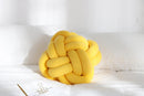 REGINA DIY Bird&