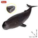 Oenux Large Size Sea Life Animals Soft Great White Shark Big Shark Action Figures Model Lifelike Educational Toys For Kids Gift