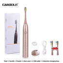 CANDOUR CD-5168 声波电动牙刷 可充电牙刷 IPX8 级防水 15 种模式 USB 充电器 替换刷头套装