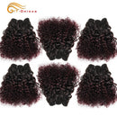 6Pcs/Lot Peruvian Curly Bundles Jerry Curl Double Drawn Human Hair Remy Funmi Hair T1B 30 99J Colored Hair Extension Htonicca