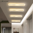 Acrylic Hallway led ceiling lights for living room Plafond home Lighting ceiling lamp homhome lighting fixtures Modern balcony