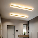 Acrylic Hallway led ceiling lights for living room Plafond home Lighting ceiling lamp homhome lighting fixtures Modern balcony
