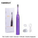 CANDOUR CD-5168 声波电动牙刷 可充电牙刷 IPX8 级防水 15 种模式 USB 充电器 替换刷头套装