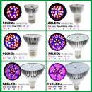 LED 植物生长灯 150颗灯珠 200颗灯珠 全光谱 仿阳光 E27 LED 植物生长灯泡 适用于室内水培花卉植物 LED 生长灯