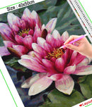 HOMFUN 全方/圆钻 5D DIY 钻石画“荷花”刺绣十字绣 5D 家居装饰礼品 A30017