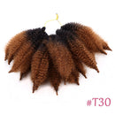 Amir Soft Afro kinky Curly Twist Braids Crochet Hair Synthetic Braiding Hair Extension For Black/ White Women