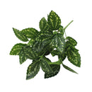 新人工灌木创意装饰人造植物蕨类模拟植物塑料花蕨墙材料配件