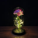 LED Enchanted Galaxy Rose Eternal 24K Gold Foil Flower with String Lights In Dome for Home Decor Christmas Valentine&