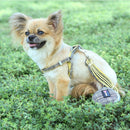 Soft Dog Harness and Leash Set Adjustable Nylon Chihuahua Dog Collar For Small Medium Dogs Pet Products Walking