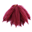 Amir Soft Afro kinky Curly Twist Braids Crochet Hair Synthetic Braiding Hair Extension For Black/ White Women