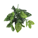 新人工灌木创意装饰人造植物蕨类模拟植物塑料花蕨墙材料配件