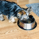 Benepaw不锈钢水食狗碗耐用中小型大型犬喂食器宠物防滑小狗猫喂食饮水碗