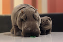 The River Sovereign | 12-Inch Lifelike Standing Hippopotamus Plush