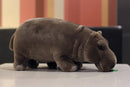 The River Sovereign | 12-Inch Lifelike Standing Hippopotamus Plush