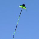 Free shipping large delta kites flying toys for children kites handle line outdoor sports kites nylon professional wind kites