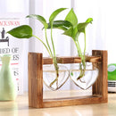 Glass and Wood Vase Planter Terrarium Table Desktop Hydroponics Plant Bonsai Flower Pot Hanging Pots with Wooden Tray Home Decor