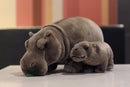 The River Sovereign | 12-Inch Lifelike Standing Hippopotamus Plush