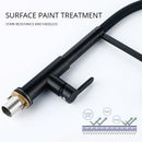 Alba Matt Black Mixer Sink Tap with Spray Head High Arch Single Hole Single Handle Pull Down Sprayer Docking Kitchen Faucet