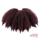 Amir Soft Afro kinky Curly Twist Braids Crochet Hair Synthetic Braiding Hair Extension For Black/ White Women
