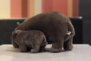 The River Sovereign | 12-Inch Lifelike Standing Hippopotamus Plush