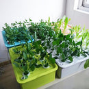 6 Holes Plant Site Hydroponic System Indoor Garden Cabinet Box Grow Kit Bubble Garden Pots Planter Nursery Pot 220V/110V 1 Set