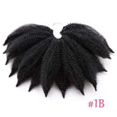 Amir Soft Afro kinky Curly Twist Braids Crochet Hair Synthetic Braiding Hair Extension For Black/ White Women