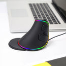Delux M618Plus RGB 人体工学垂直鼠标 6键 4000DPI 光学电脑鼠标 带可拆卸掌托 适用于PC笔记本电脑