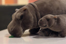 The River Sovereign | 12-Inch Lifelike Standing Hippopotamus Plush