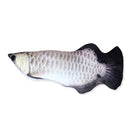 Cat Toy Interactive Fish Catnip Pet Toy Soft Plush 3D Fish Shape Gifts Toys Stuffed Pillow Doll Simulation Fish Playing Toy