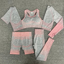 Women 2/3/5pcs Yoga Set Running Seamless Gym Workout Short Sleeve+Top Sport+Leggings+shorts+bra Fitness Suit Yoga Suit