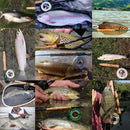 Maximumcatch 3-8WT Fly Fishing Rod And Reel Combo Set 8'6''/9' Medium-fast Fly Rod Pre-spooled Fly Reel &amp; Line &amp;Triangle Tube