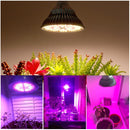 LED 植物生长灯 150颗灯珠 200颗灯珠 全光谱 仿阳光 E27 LED 植物生长灯泡 适用于室内水培花卉植物 LED 生长灯