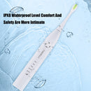 CANDOUR CD-5168 声波电动牙刷 可充电牙刷 IPX8 级防水 15 种模式 USB 充电器 替换刷头套装