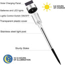 LED冷白光/暖白光太阳能灯 户外太阳能通路灯 适用于草坪/庭院/天井/人行道/车道的景观灯