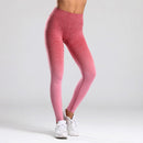 LANTECH Women Gym Yoga Seamless Pants Sportswear Clothes Stretchy High Waist Lifting Exercise Fitness Leggings Activewear Squat