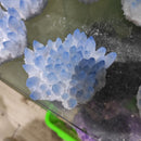 300-700g  Rare Beautiful  blue  Ghost phantom Quartz Crystal Cluster Specimen